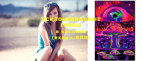МДПВ Гусев
