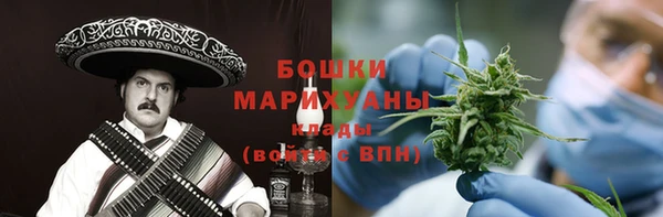МДПВ Гусев