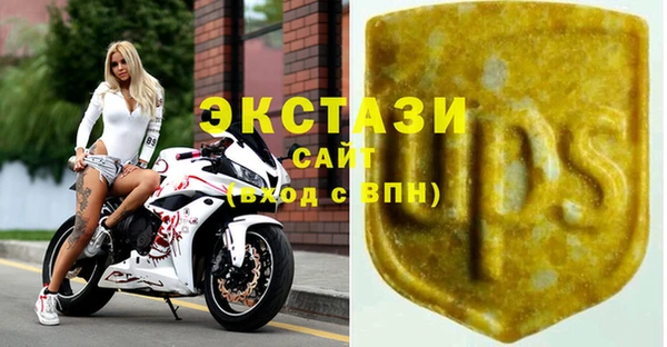МДПВ Гусев