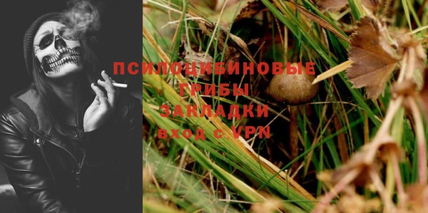 МДПВ Гусев