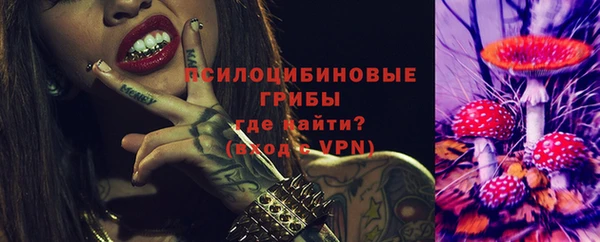 МДПВ Гусев