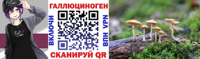 хочу наркоту  Мытищи  Галлюциногенные грибы GOLDEN TEACHER 